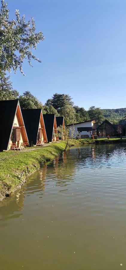 Pastravaria Zavoi Valea Danului Extérieur photo